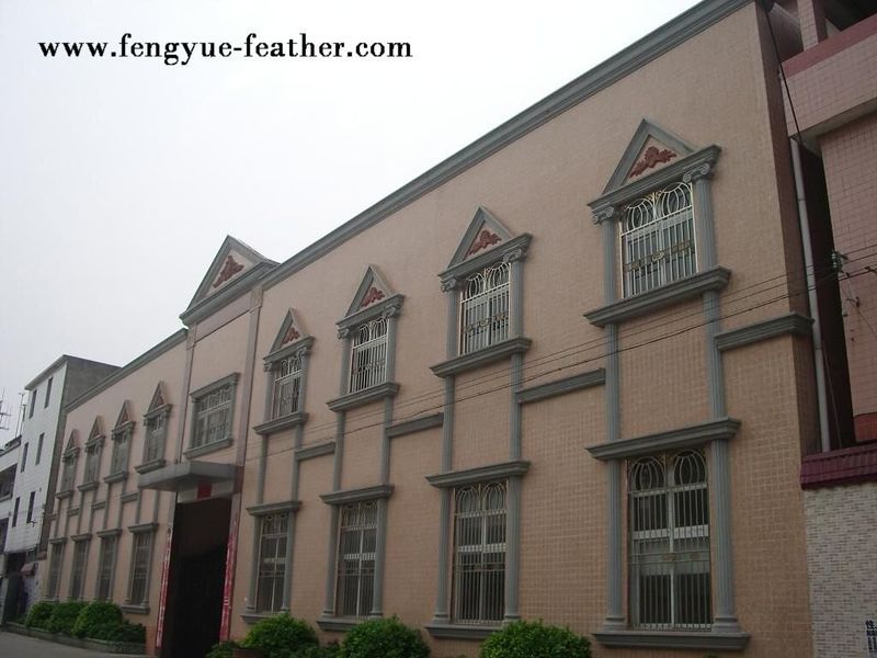 Guangdong Hongfa Import & Export Co., Ltd. línea de producción del fabricante
